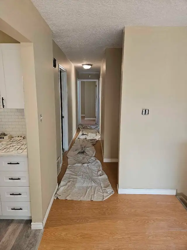 Calgary Affordable Painting  587-917-143762863242307715122