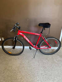 Raleigh Adult Mountain bike