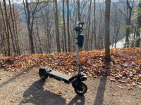 Gyrocopters Plaid Long Range Off-road Escooter