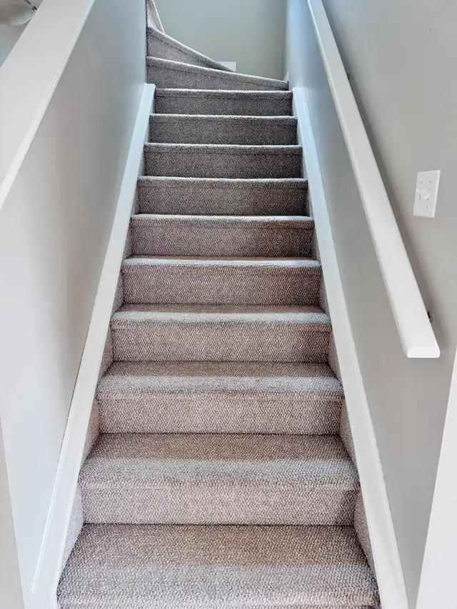 Professy Carpet Steam Cleaning62863713882243122
