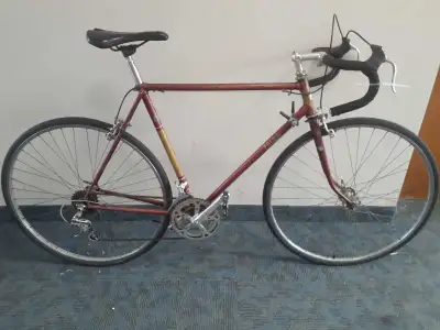 Elswick Road Bike, View more