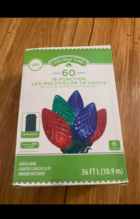 Holiday Time 60 LED Cool White C9 Lights - 16 Functions