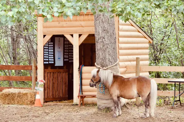 Equine Assited Learning63611966940289120