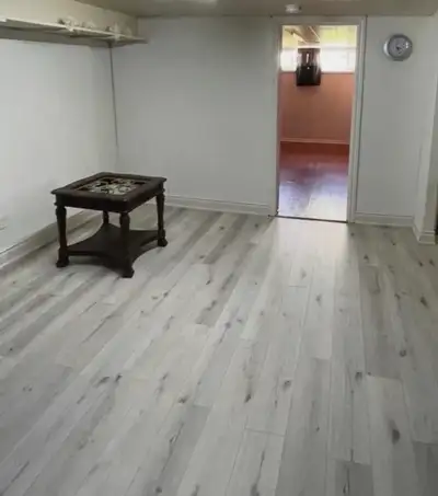 1 Large bedroom available for rent. $700 for Private ( Including Utilities) Looking for 1 vegetarian...
