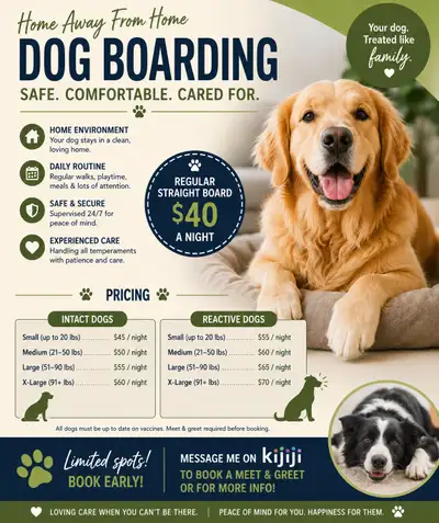 Board & Train Opening – 3-Week Program (Drop-Off Jan 17), View more