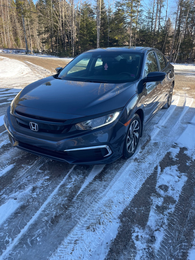  2020 Honda Civic EX in Cars & Trucks in Fredericton