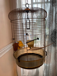 Cage pour oiseaux