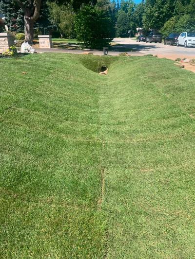 Sodding, Grading, and Landscaping