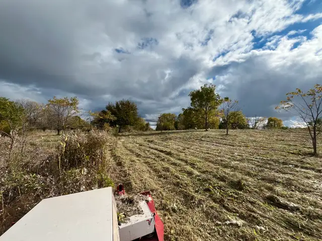 Brush clearing, Field mowing, Trail Maintenance in Other in Oakville / Halton Region - Image 7