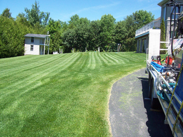 LAWN AERATING, FERTILIZER, DETHATCHING, OVERSEEDING, TOPDRESSING in Lawn, Tree Maintenance & Eavestrough in City of Toronto