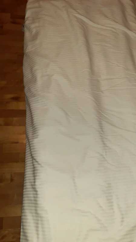Couvre douillette lit Queen / Queen bed comforter cover dans Literie  à Laval/Rive Nord - Image 3