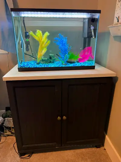 20G Top Fin Fish Tanks + Stand, View more