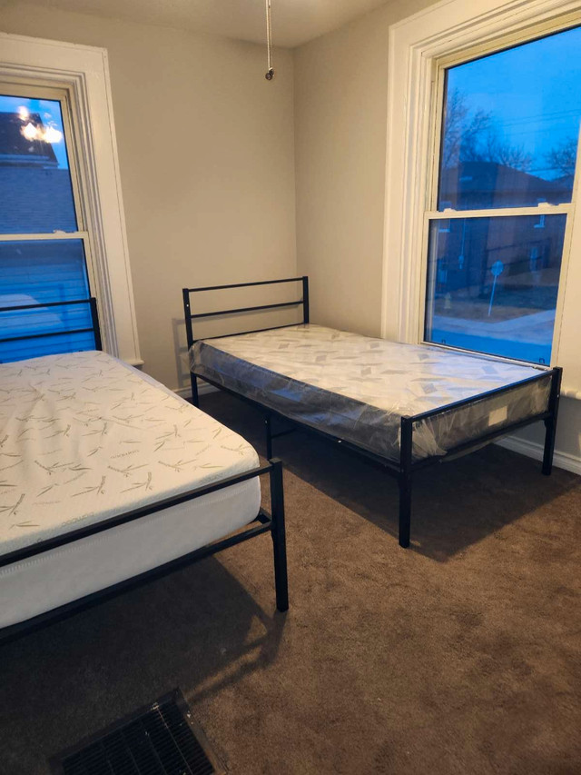 Room for female students in Room Rentals & Roommates in Belleville - Image 4