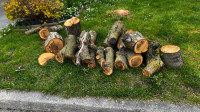 Free Burning or Decorative Wood - Curbside Pickup