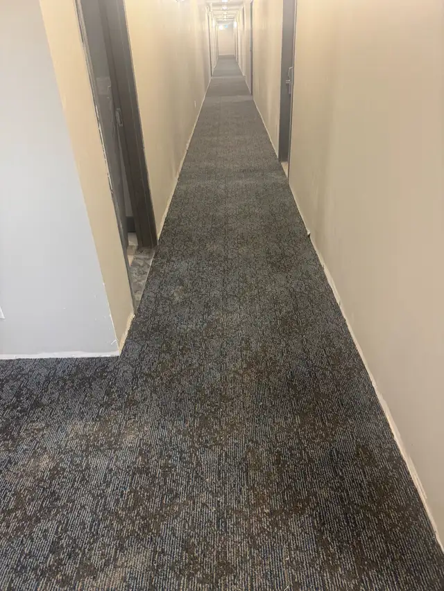  CARPET INSTALLATION509908062023854084