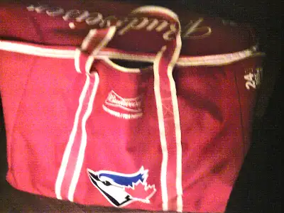 Toronto Blue Jays Budweiser insulated bag holds 24 cans, View more