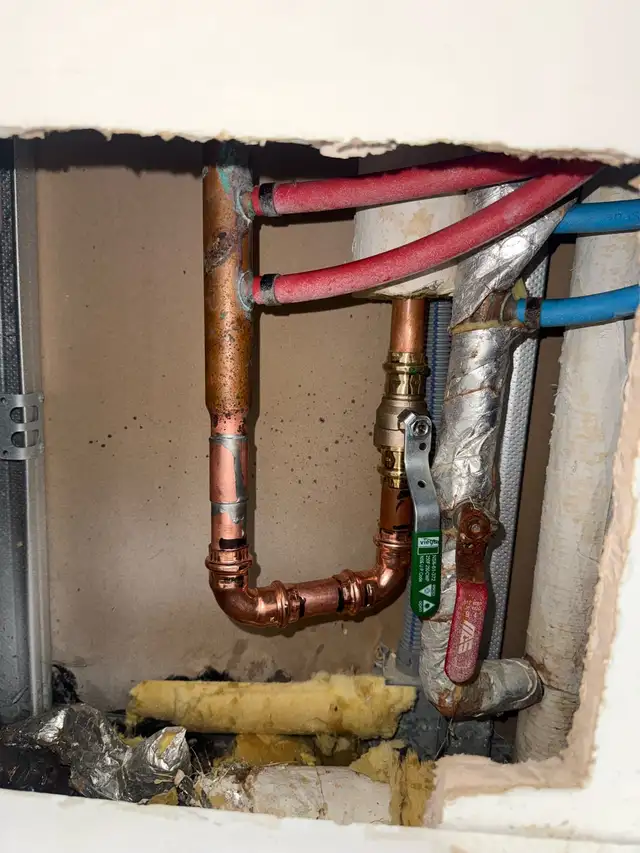 Plumber Licensed 447398198788771844
