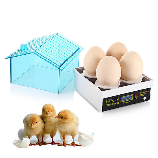 4 Egg Incubator Automatic Temperature Control Small Brooder Hatc dans Accessoires  à Ville de Montréal