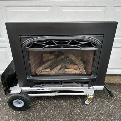 Upgrade your existing wood-burning masonry fireplace with this premium Valor Legend G3 direct vent g...