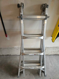 Multi Positional Ladder