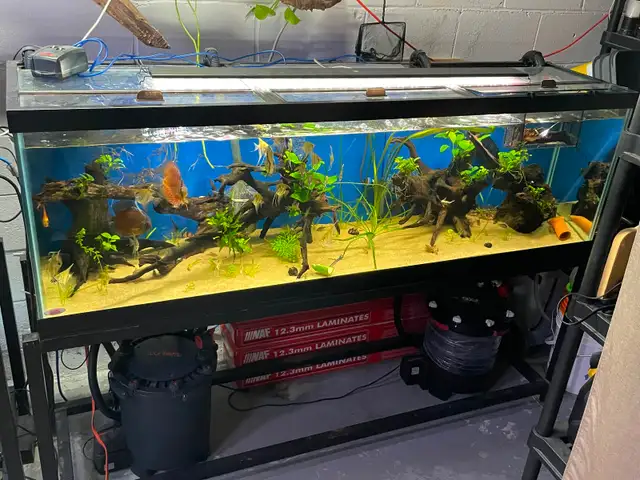 135 gallon aquarium in Accessories in Mississauga / Peel Region - Image 2