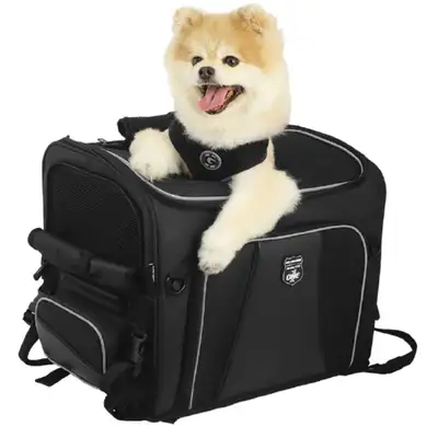 dog carrier, for small dog,  Nelson-Rigg. , View more