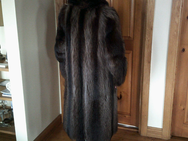 Manteau de chat sauvage long dans Femmes - Hauts et vêtements d'extérieur  à Laval/Rive Nord - Image 3
