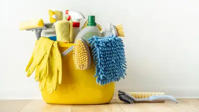 cleaning lady 18/hr, View more