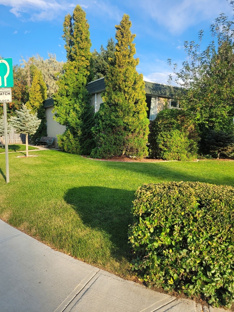 This Is The One! Long Term Rentals Lethbridge Kijiji