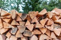 Firewood, 250$/load delivered