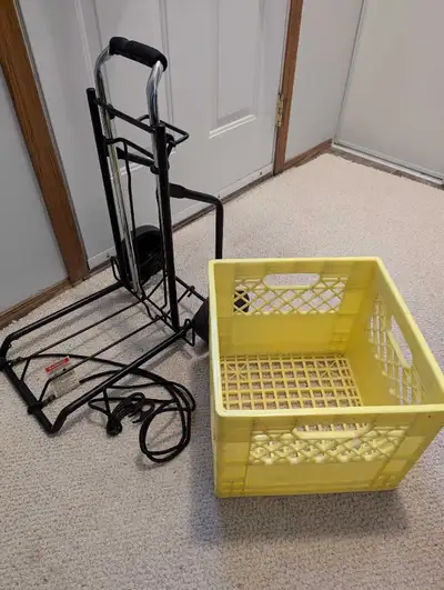 a. basset to carry things, View more