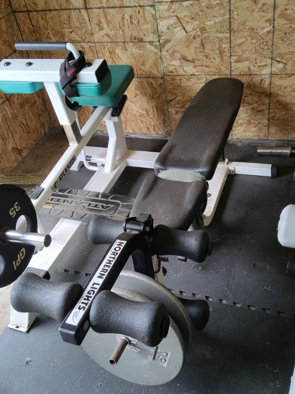 Northern lights bench and standard weights Exercise Equipment
