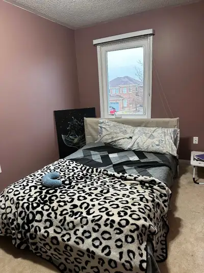 Single room Rent