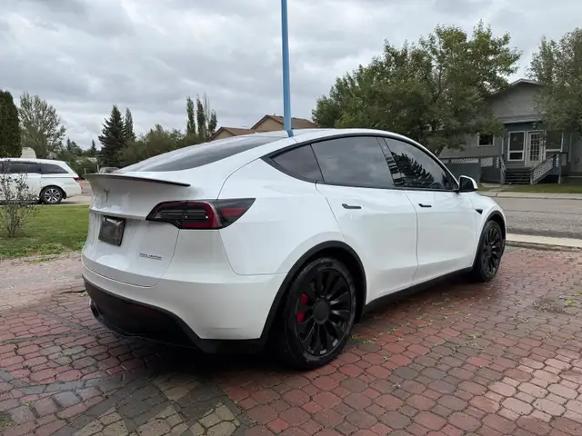 2020 Tesla Model Y Performance AWD558834001684080642