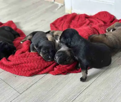 NEED TO FIND A HOME !Urgent!, View more