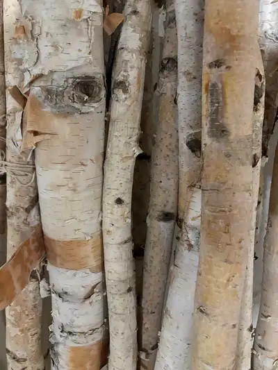 White Birch Decorative Wood, View more