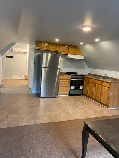 Clean and attractive 1 small bedroom - Downtown overlooking wentworth park - 700 sqft (approx) 1 bed...