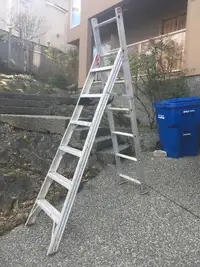 6 Foot Step/12 Foot Extension Ladder