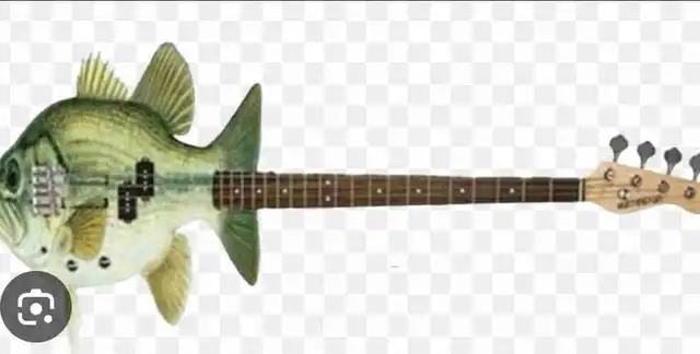 NEED A BASSIST