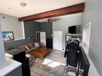 1 Large bright bedroom basement suite
