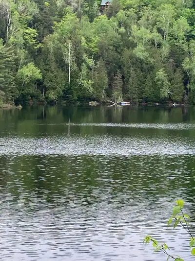 land for rent with lake access, View more