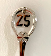NEW - unique GIFT - Silver 25th Wedding Anniversary - GREAT DEAL