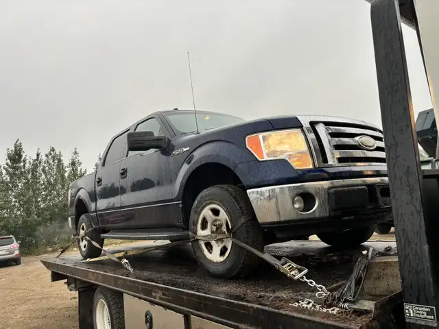 Buying 2009 and up ford f150 trucks regardless of the condition  in Cars & Trucks in Edmonton - Image 11
