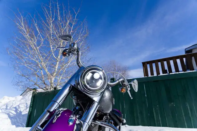 1998 Harley Davidson Fat Boy in Street, Cruisers & Choppers in Fort McMurray - Image 3
