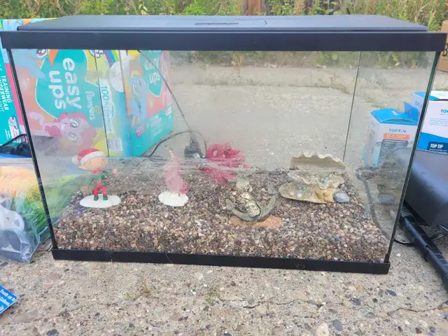 Fish Tank - Perfect for Kids in Accessories in Edmonton - Image 5