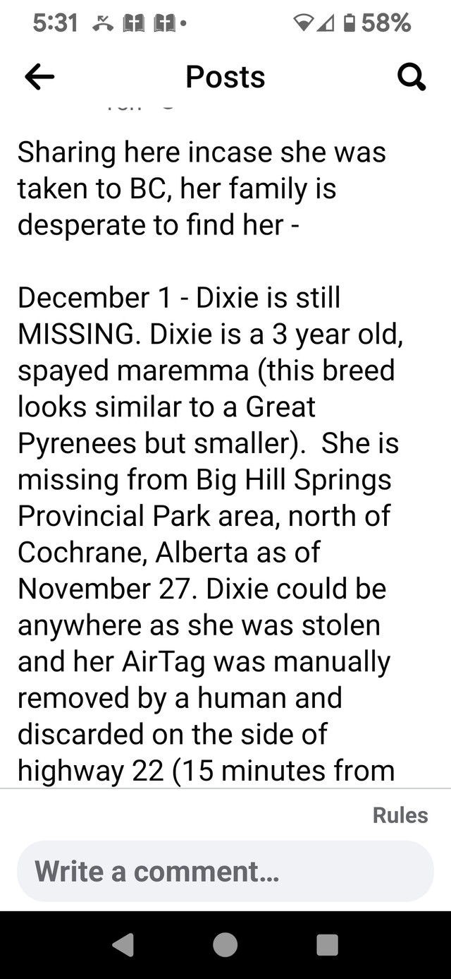 LOST PET. PLEASE HELP THE OWNER AND HER PRECIOUS DOG in Animal & Pet Services in Cranbrook