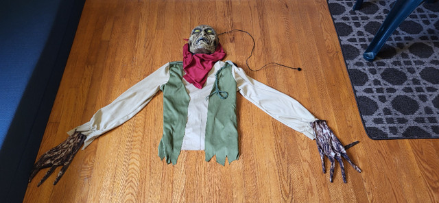 Pirate Of The Dead Halloween Costume in Costumes in Oakville / Halton Region - Image 2