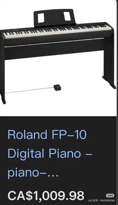 Roland FP10, View more