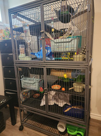 Large cage with complete rat set up and accessories 