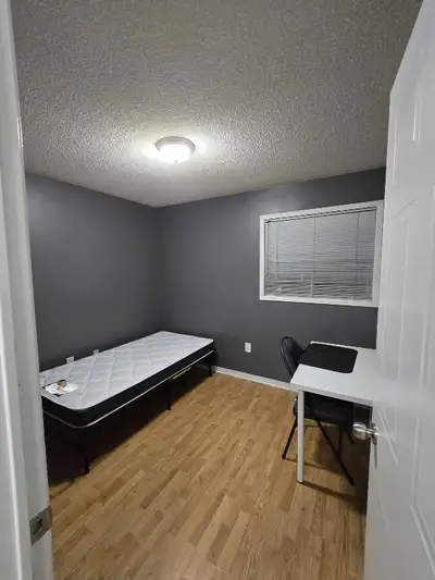 Personal room for rent Straight bus to Mt.Pleasant Go Station, Brampton Innovation GO and Sheridan C...
